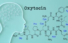 Could oxytocin be a new therapeutic option for cognitive disorders such as Alzheimer's disease?