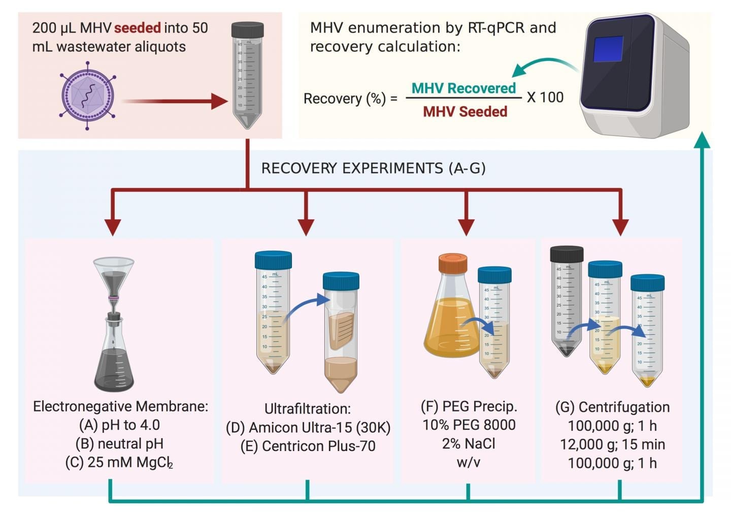 Methods used to recover MHV in this study. The most successful was method (C), followed by method (B) (Warish Ahmed et al., Science of The Total Environment, June 5, 2020).

CREDIT
Warish Ahmed et al., Science of The Total Environment, June 5, 2020
