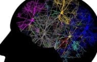 Engaging the whole brain for the first time with a new form of brain analysis