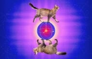 An error-correcting cat has the ability to fix some of the trickiest errors in a quantum computation