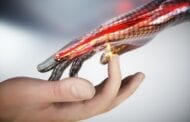 Researchers have developed electronic artificial skin that reacts to pain just like real skin