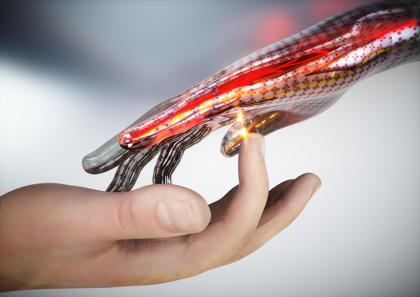 A concept image of electronic skin that can sense touch, pain, and heat.

CREDIT
Ella Maru Studio
