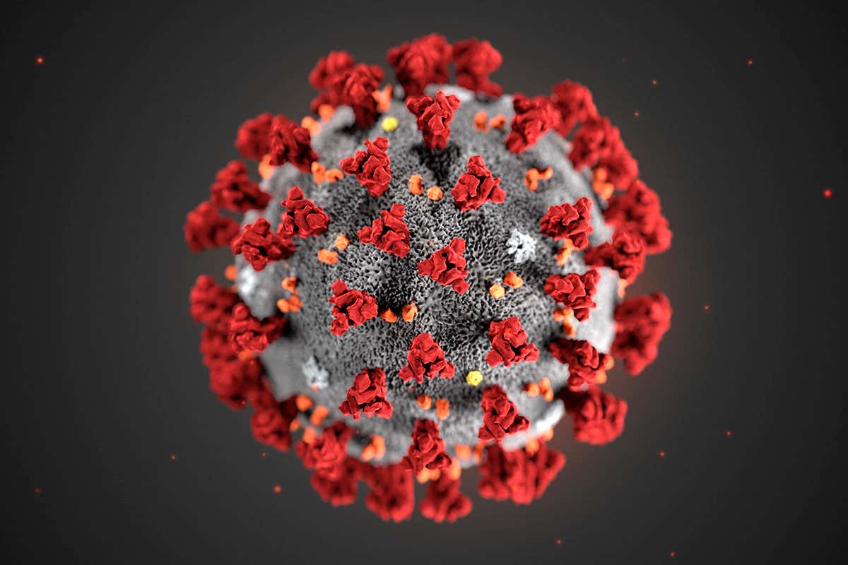 Could a new reliable COVID-19 test help reduce virus spread
