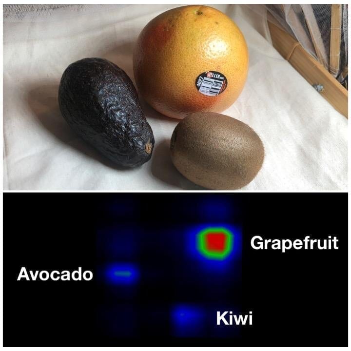 The Capacitivo smart fabric can identify fruit and find lost objects. Overall, the system achieved a 94.5% accuracy in testing. Figure courtesy of XDiscovery Lab.