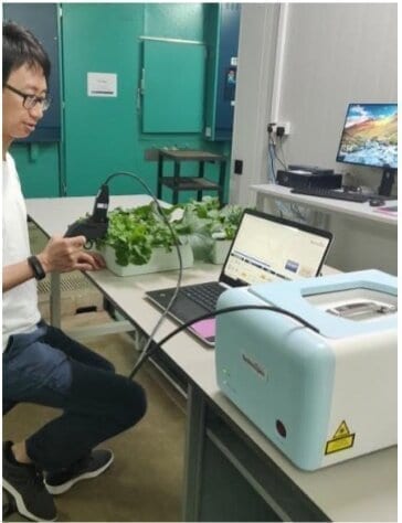 A portable raman leaf-clip sensor detects plant stress to maximise crop yield in a sustainable way