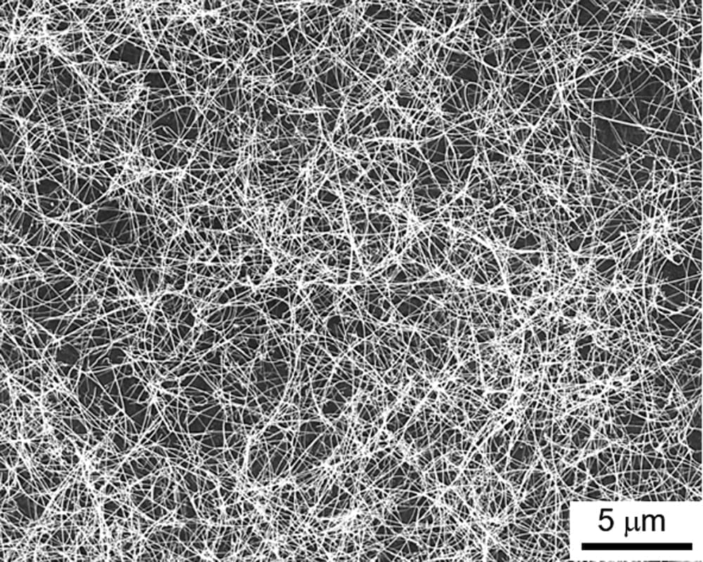 Scanning electron microscopy image of the superlattice nanowires. (Photo source: DOI number: 10.1126/sciadv.abc6389)