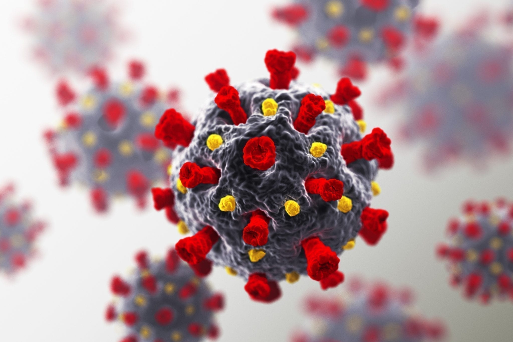 A new antiviral drug completely suppresses SARS-CoV-2 virus transmission within 24 hours