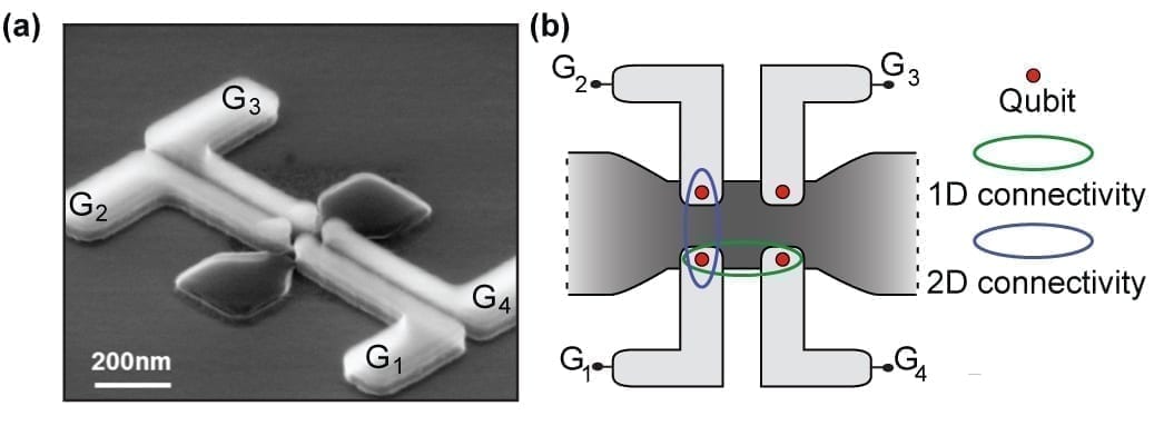 (a) Scanning electron image of one of the Foundry-fabricated quantum dot devices. Four quantum dots can be formed in the silicon (dark grey), using four independent control wires (light grey). These wires are the control knobs that enable the so called quantum gates. (b) Schematic of the two-dimensional array device. Each Qubit (red circle) can interact with its nearest neighbor in the two-dimensional network, and circumvent a Qubit that fails for one reason or other. This setup is what “second dimension” means.