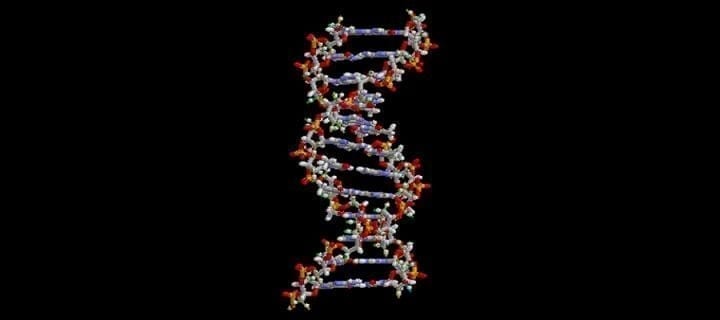 New software could revolutionize how DNA is sequenced - making it far faster and less expensive