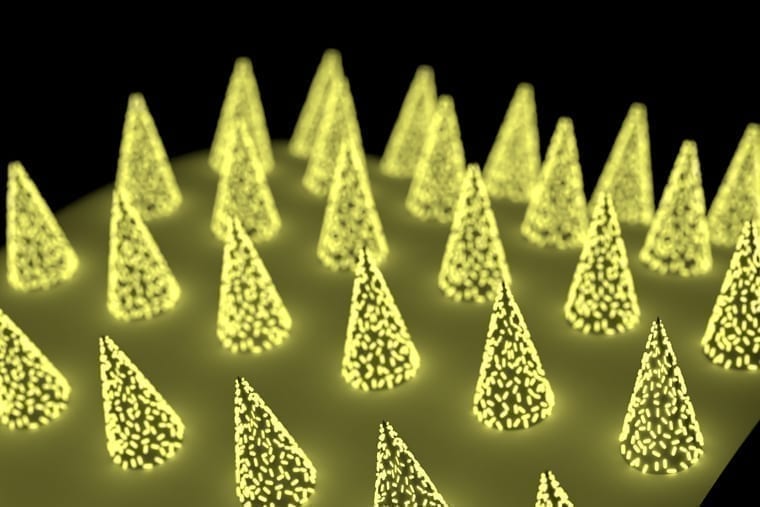 A new microneedle patch has huge medical implications . . .