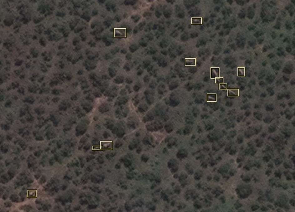 Elephants in woodland as seen from space. Green rectangles show elephants detected by the algorithm, red rectangles show elephants verified by humans. Credit: Maxar Technologies