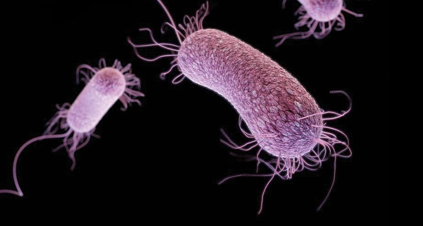 A new antibiotic fights resistant bacteria and needs help reaching patients
