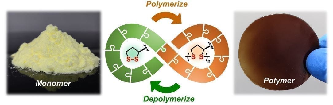 Scientists from the University of Groningen (The Netherlands) and the East China University of Science and Technology (ECUST) in Shanghai produced different polymers from lipoic acid, a natural molecule. These polymers are easily depolymerized under mild conditions. Some 87 percent of the monomers can be recovered in their pure form and re-used to make new polymers of virgin quality. Credit: Qi Zhang