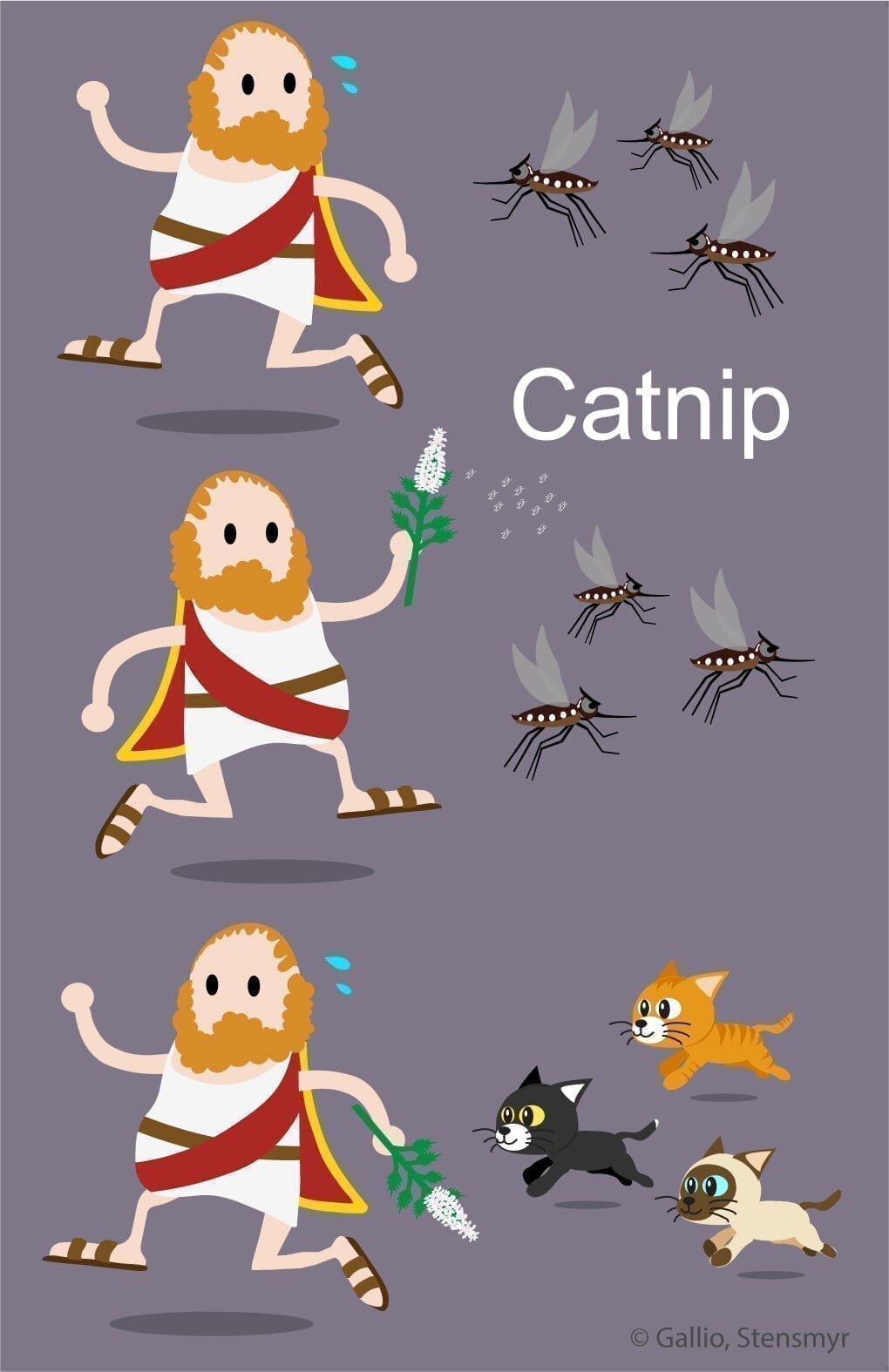 Yes, catnip shows promise as a new natural insect repellent