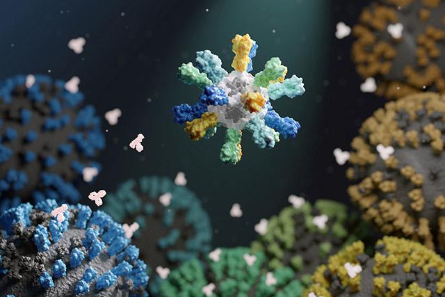 Institute for Protein Design
Depiction of a nanoparticle vaccine that contains proteins from many different flu strains.