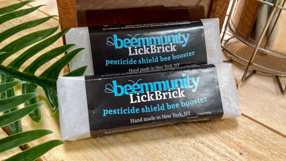 Beemmunity sugar bars that contain microsponges, for use with a bee feeder that is under development.