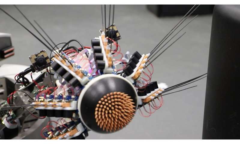 Brain models are helping to discover better robot navigation methods