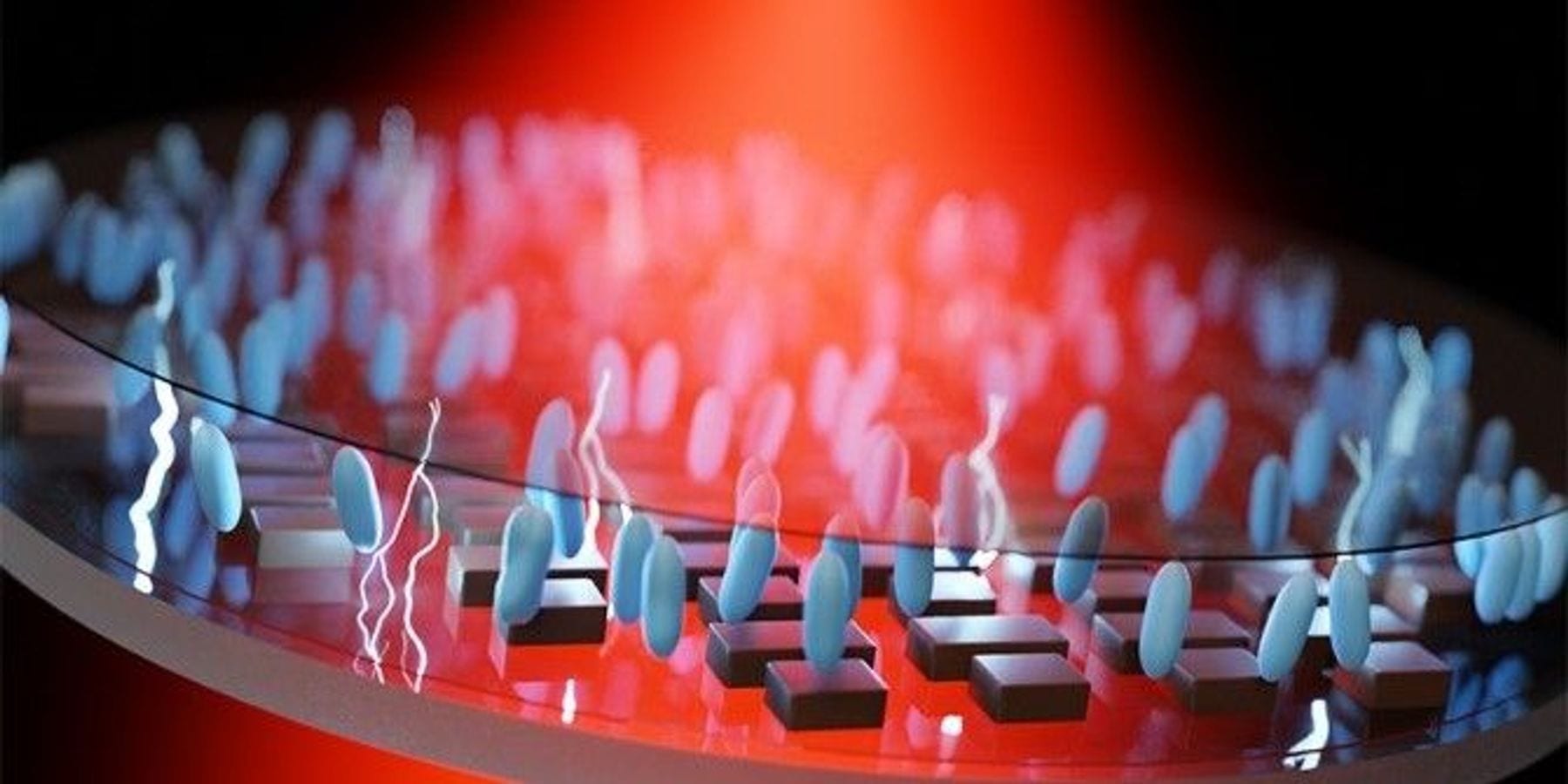 Credit: Daniil Shilkin
Conceptual rendering of an ultrathin, electrically tunable metalens developed by Cornell and Samsung engineers.