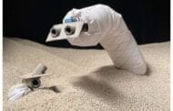 Researchers have developed a fast, steerable, burrowing soft robot for both here and way out there