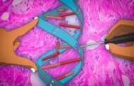 A new wave of gene therapies becomes possible with the development of a 