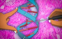 A new wave of gene therapies becomes possible with the development of a 
