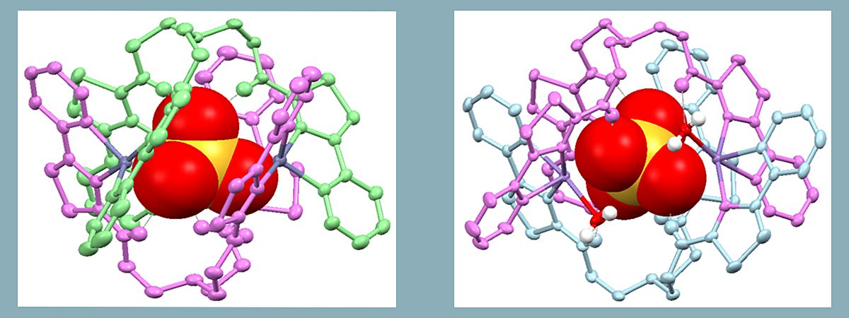 Two different compounds (pictured above) were generated using zinc (left) and manganese (right). Whilst these two compounds ‘look’ very similar the zinc compound demonstrated excellent anti-cancer activity and selectivity towards a range of cancers in the laboratory whereas the manganese compound was comparatively much more toxic, meaning there was more anti-cancer activity at a lower concentration, with similar selectivity compared to current drugs tested.