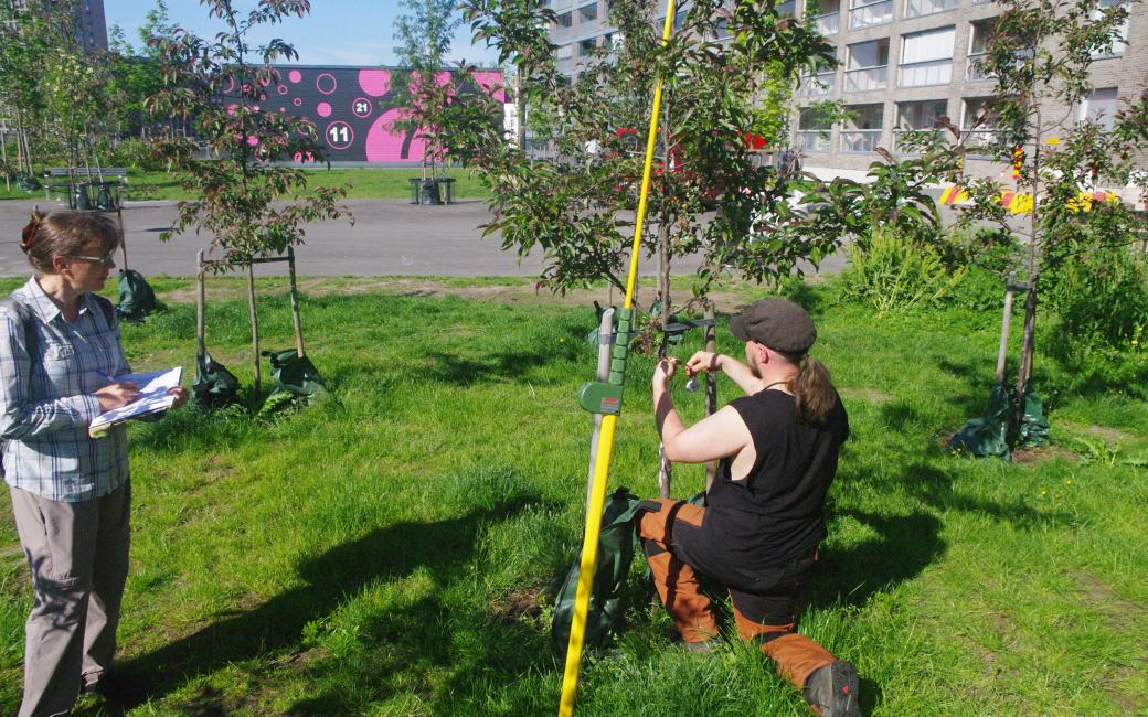 The project team continues to follow up research of the Hyväntoivonpuisto carbon sequestration park in Helsinki according to the principles outlined in the policy brief. (Image: Priit Tammeorg)
