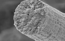 Synthetic muscle fiber built by microbes opens up extraordinary possibilities