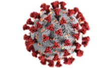 Could PUL-042, an inhaled therapeutic, be directed against all existing and future variants of the COVID-19 virus as well as future pandemics?