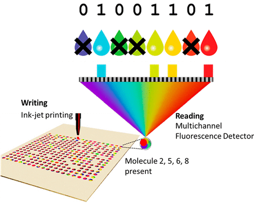 A schematic diagram of the “writing” and “reading” process. ASCII information is converted to a binary bit string which is then encoded into printable patterns and printed with an inkjet printer. The presence or absence of dye molecules at a location represents a byte of data. The information is written on an epoxy substrate which contains free amino groups. Printing of the dyes leads to an amide bond formation between the substrate and the dye and leads to covalent immobilization of the dye onto the substrate at a specific location. Imaging of the printed substrate using a multichannel fluorescence detector represents the “reading” of the written information. The multichannel fluorescence detector can, simultaneously and independently, detect the presence or absence of the dye molecules at a specific location. One very important feature of our approach is that the registration of the dyes with respect to each other is not important for decoding the stored information.