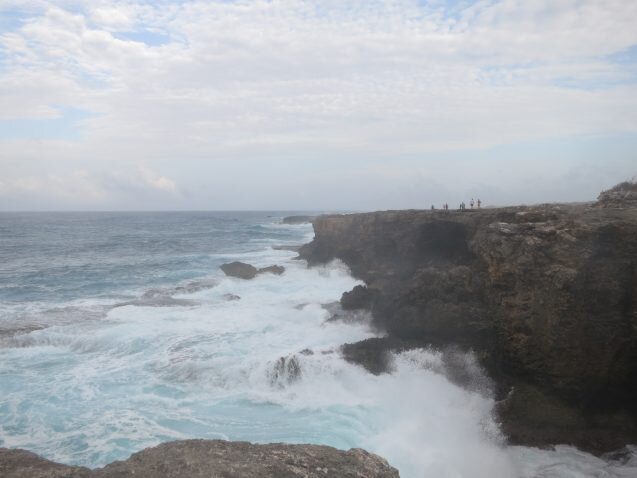 Coast of Barbados. (Kevin Krajick/Earth Institute)