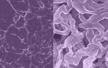 A new more environmentally friendly sodium battery solves both the dendrite problem and recharges as quickly as a lithium-ion battery