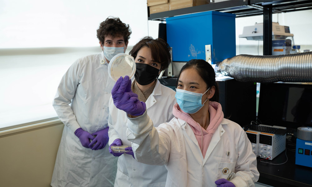 UBC Okanagan Assistant Professor Dr. Sepideh Pakpour, along with student researchers Enrique Calderon and Rita Lam, examine a sample beside the natural light experimentation chamber. Their research suggests light through smart windows can work as a natural disinfectant against many illnesses including E.Coli and methicillin-resistance Staphylococcus aureus.