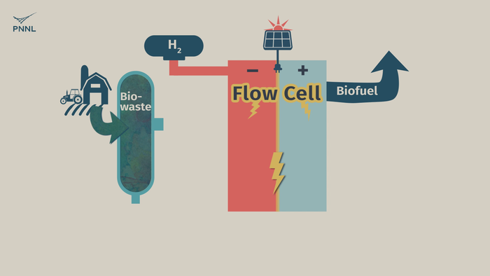 Waste carbon from farms, sewage and other sources can be processed into high-grade bio-based fuels more easily with a new PNNL-developed flow cell. In this animation, the flow cell receives biocrude and wastewater from a hydrothermal liquefaction process. It then removes carbon from wastewater, allowing the clean water to be reused. The system even generates hydrogen, a valuable fuel that can be captured, reducing the cost of the whole operation. (Animation by Sara Levine | Pacific Northwest National Laboratory)