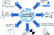 Can microplastics increase the toxicity of organic pollutants by a factor of 10?
