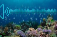 Monitoring changing marine life with sound