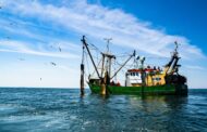 Has climate change begun to suffocate the world's fisheries?