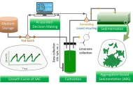 Predicting algae's potential as an effective alternative energy source using artificial intelligence