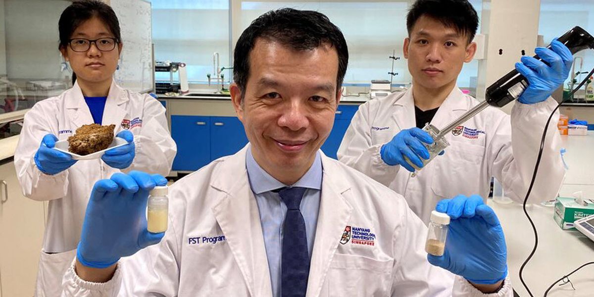 Scientists led by NTU Singapore produce oils from microalgae that could replace palm oil in food production