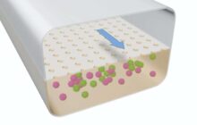 Significantly speeding up the pace and quality of vaccine creation with a microfluidic Organ Chip - No Animal Testing
