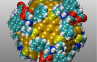 Vaccines can be made over 25 percent more effective by adding left-handed chiral gold nanoparticles
