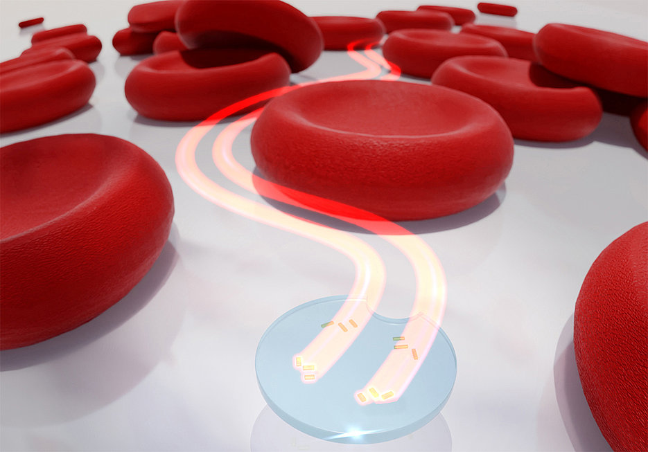Artistic representation of a microdrone with two active light-driven nanomotors between red blood cells. (Image: Thorsten Feichtner / Universität Würzburg)