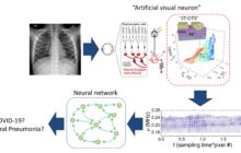 Mimicing the information processing mechanism of the human nervous system with artificial sensory neurons