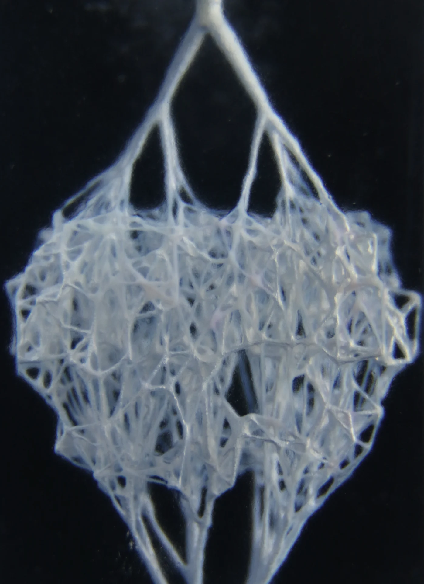 A network of capillaries 3D-printed using a newly developed technique. (Credit: Hayes et al. 2022, Advanced Materials)