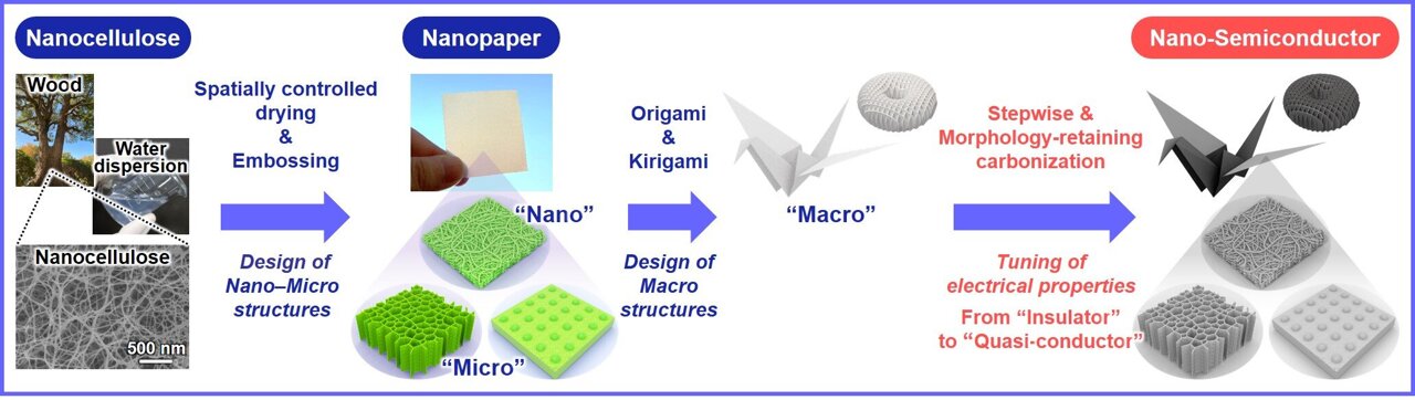 Schematic diagram of the preparation of the wood nanocellulose-derived nano-semiconductor with customizable electrical properties and 3D structures