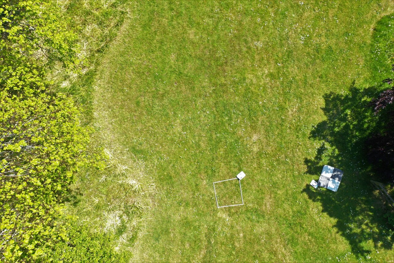 Drone image showing the distribution of wildflowers. Credit: Karen Anderson