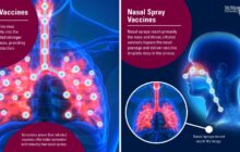 Inhaled aerosol vaccines provide far better protection and stronger immunity than nasal sprays