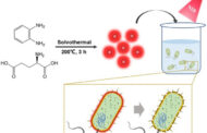 A new approach to fight infections: Synergistic antibacterial carbon dots