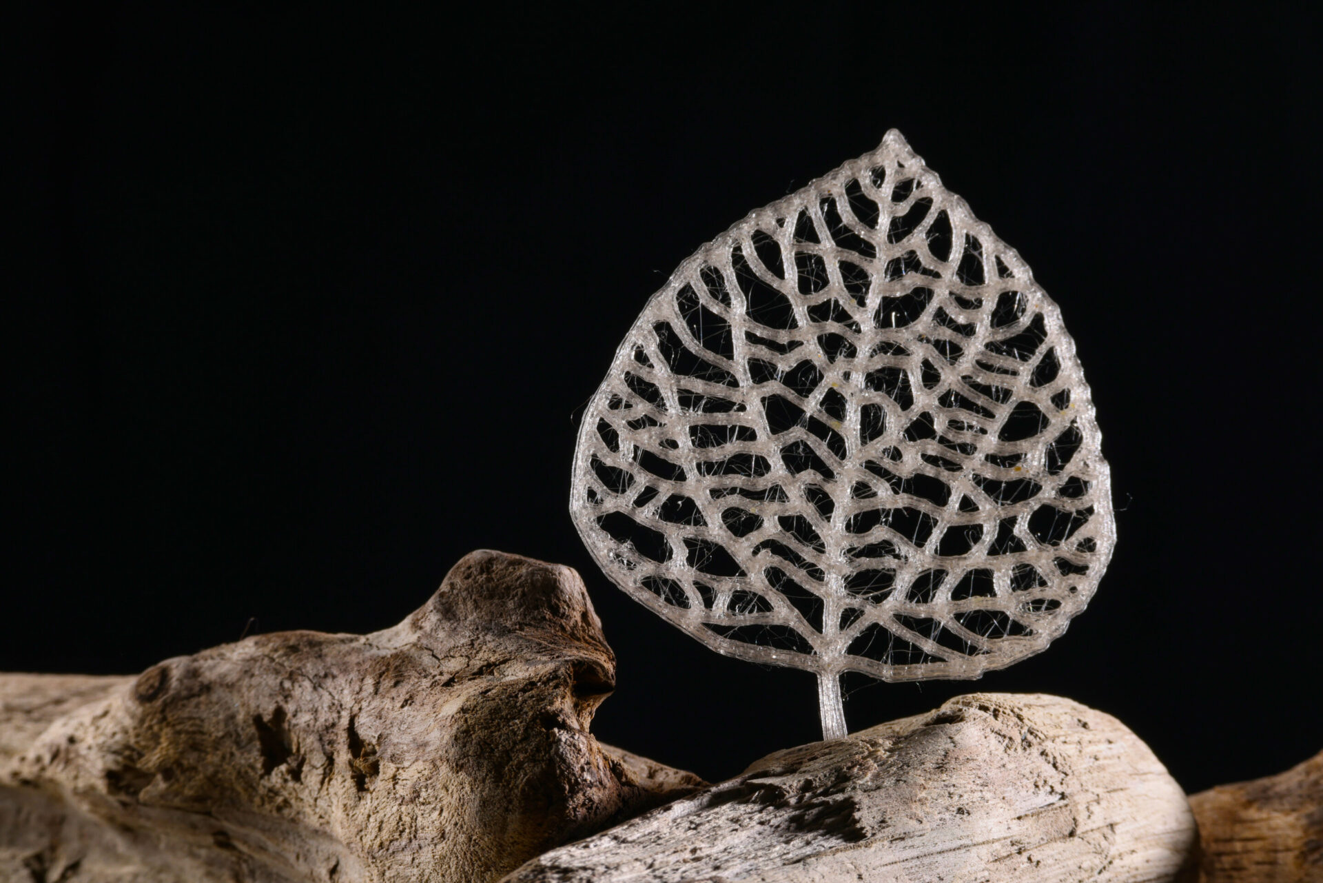 A 3D-printed “leaf” made with the new bioplastic. CREDIT Alain Herzog (EPFL)