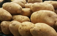 Creating super-spuds that are resistant to heat, drought and flooding